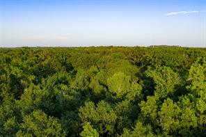 13612 County Road 3900 - Photo 40