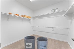 3122 Spring Creek Trail - Photo 17
