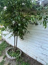2113 4th Street - Photo 36