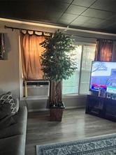 2113 4th Street - Photo 7