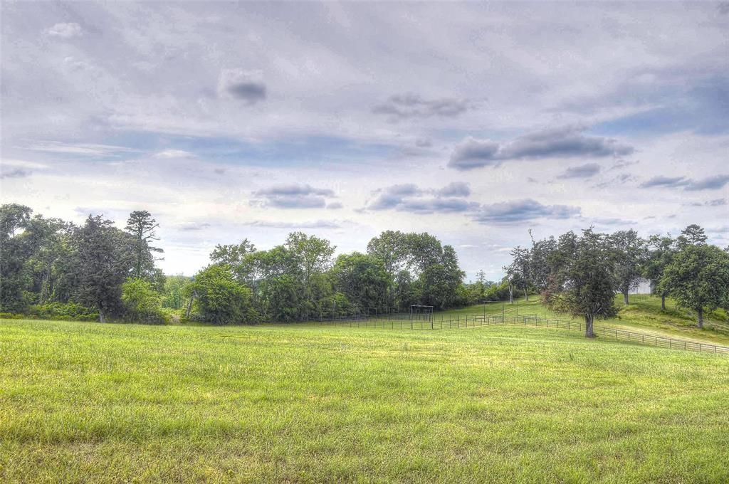 1765 Crabapple - Photo 19