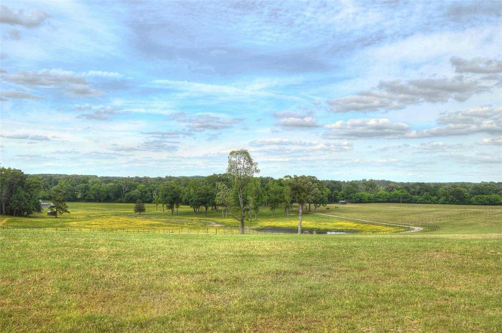 1765 Crabapple - Photo 20