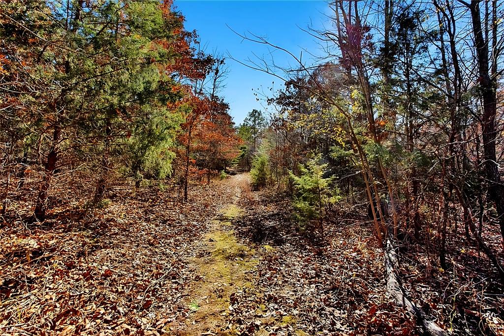 520 County Road 36980 - Photo 28