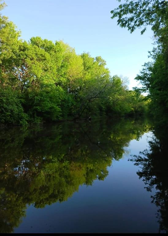 520 County Road 36980 - Photo 3