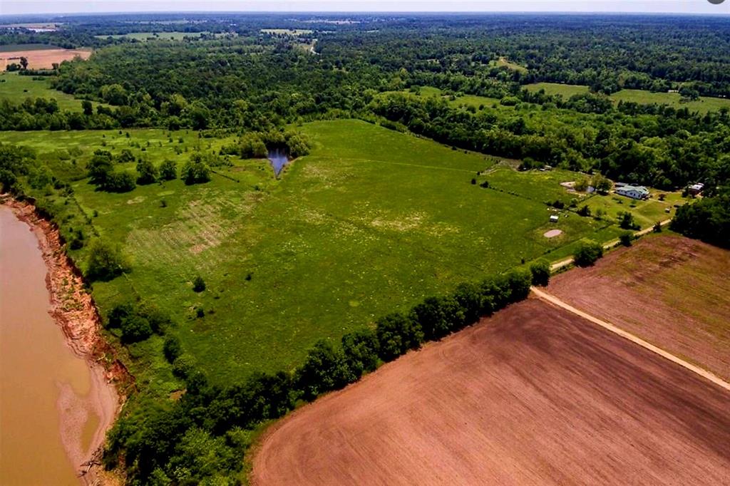 520 County Road 36980 - Photo 6