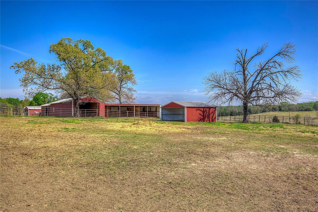 7359 Texas Highway 154 S - Photo 36