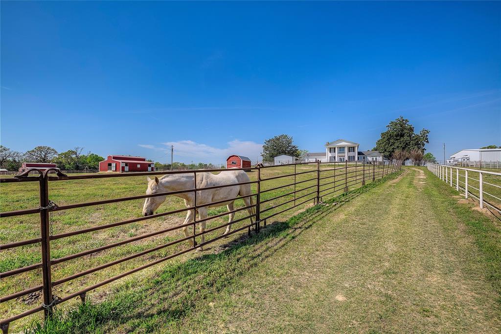 7359 Texas Highway 154 S - Photo 7