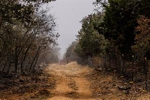 2946 FM 52 - Photo 17