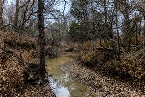 2946 FM 52 - Photo 23