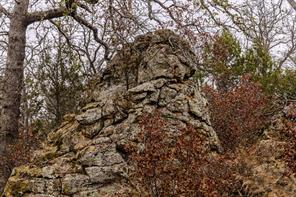 2946 FM 52 - Photo 26