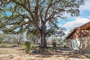 4701 County Road 337 - Photo 31
