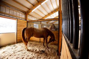 370 VZ County Road 4134 - Photo 8