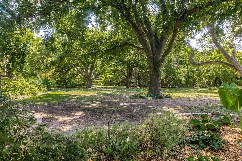 1226 E Campbell Road - Photo 3