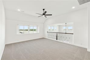 421 Birkdale Lane - Photo 26