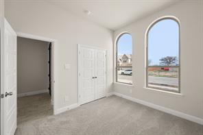 1101 Foxtail Drive - Photo 15
