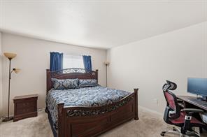 2646 Custer Parkway - Photo 11