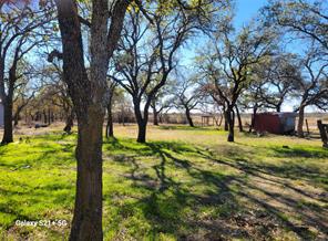 509 County Road 143 - Photo 15