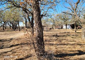 509 County Road 143 - Photo 17