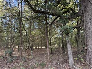 137 CR 2362 - Photo 21
