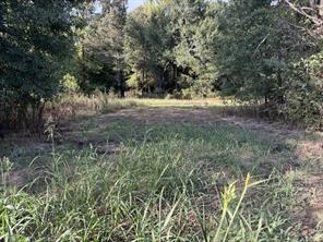 137 CR 2362 - Photo 22