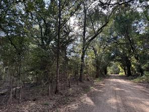 137 CR 2362 - Photo 23