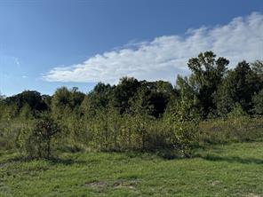 137 CR 2362 - Photo 26