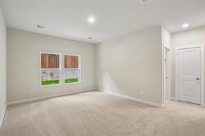 369 Declan Street - Photo 27
