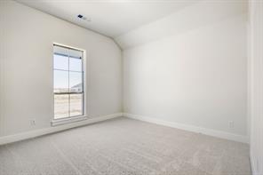 2227 Prickly Cactus Drive - Photo 17