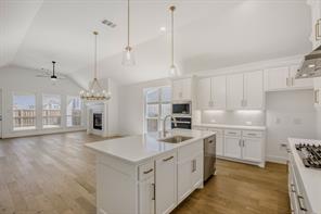 2230 Prickly Cactus Drive - Photo 10