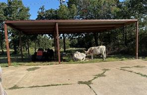 1705 County Road 122 - Photo 29