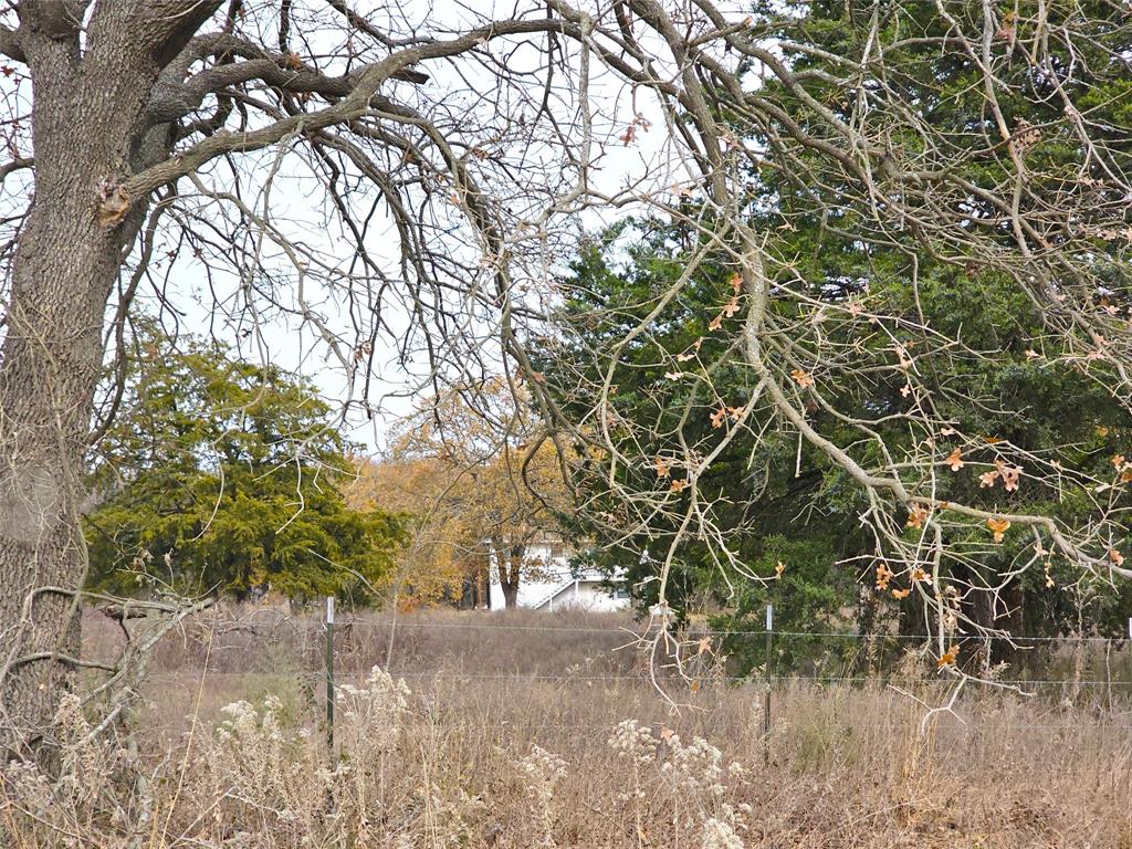 2240 County Road 2162 - Photo 2