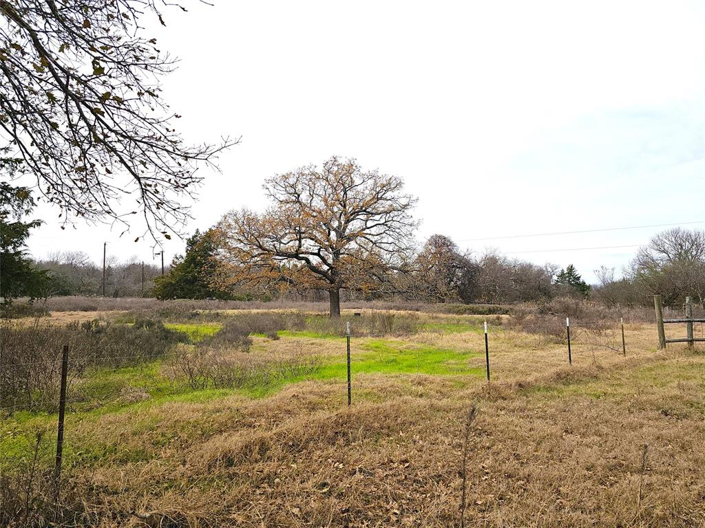 2240 County Road 2162 - Photo 8