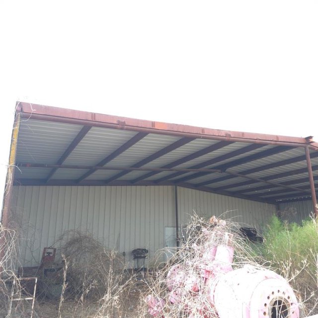 Photo 12
