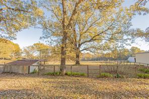 12575 Fm 3271 - Photo 10