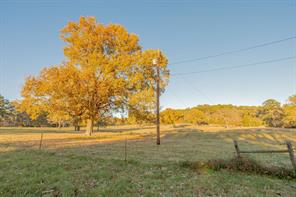 12575 Fm 3271 - Photo 38