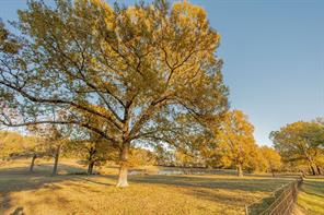 12575 Fm 3271 - Photo 39