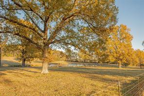 12575 Fm 3271 - Photo 40