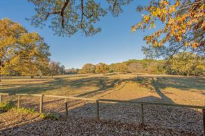12575 Fm 3271 - Photo 7