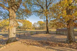 12575 Fm 3271 - Photo 8