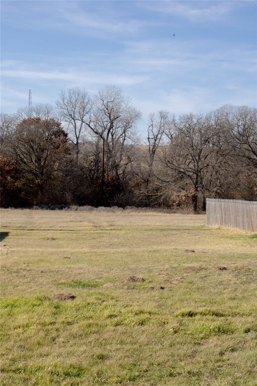 145 Firefly Drive - Photo 6