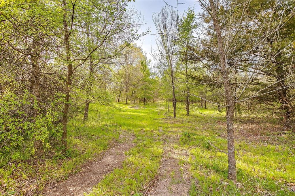 599 Private Road 3630 - Photo 37