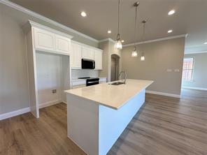 2003 Belle Lagos Lane - Photo 11