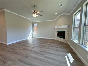 2003 Belle Lagos Lane - Photo 9