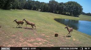 1561 Fm 934 - Photo 32