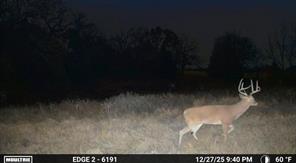 1561 Fm 934 - Photo 33