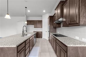 1441 Grassy Meadows Drive - Photo 14