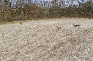 9995 Fm 2862 - Photo 13