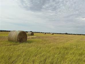 4315 County Road 226 - Photo 12