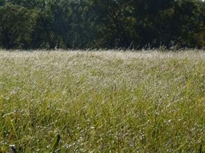 401 Loop 322 - Photo 31