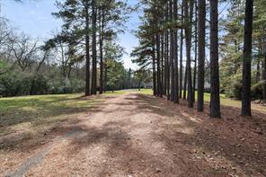 6951 E County Road 315 - Photo 35